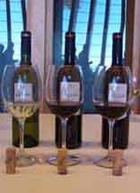 Ribera del duero Wine-tasting courses