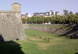 plaza Mayor de Jaca