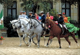 plaza Mayor de Jerez