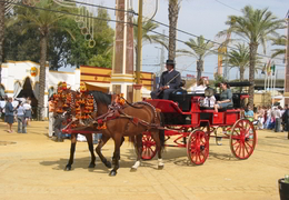 cattedrale di Jerez